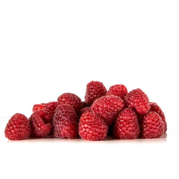 Framboise Ferme Degau Aliments Du Qu Bec