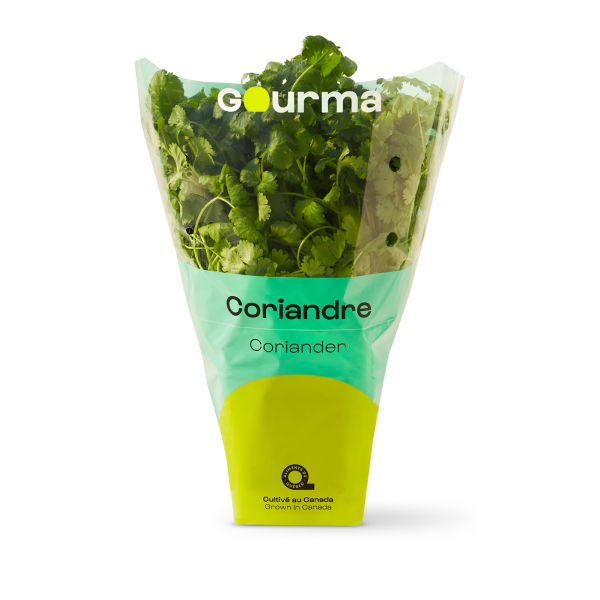 Plant de coriandre LES SERRES GOURMA INC Aliments du Québec