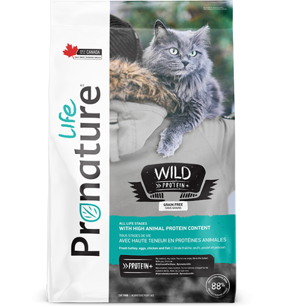 High protein hotsell for cats