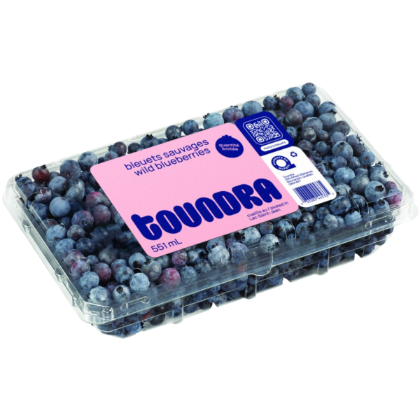 Blueberry 2 Pack ) Krusteaz Wild Blueberry Muffin Mix - 17.1 Oz - Walmart.com