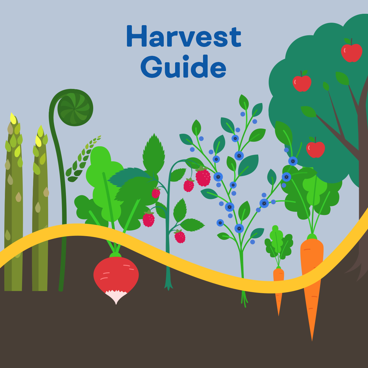 Harvest Guide: In Season Fruits and Vegetables Are Yours to Enjoy ...