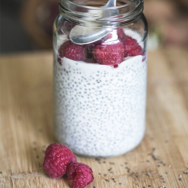 Qu est ce que a mange en hiver du chia Bon savoir Blogue